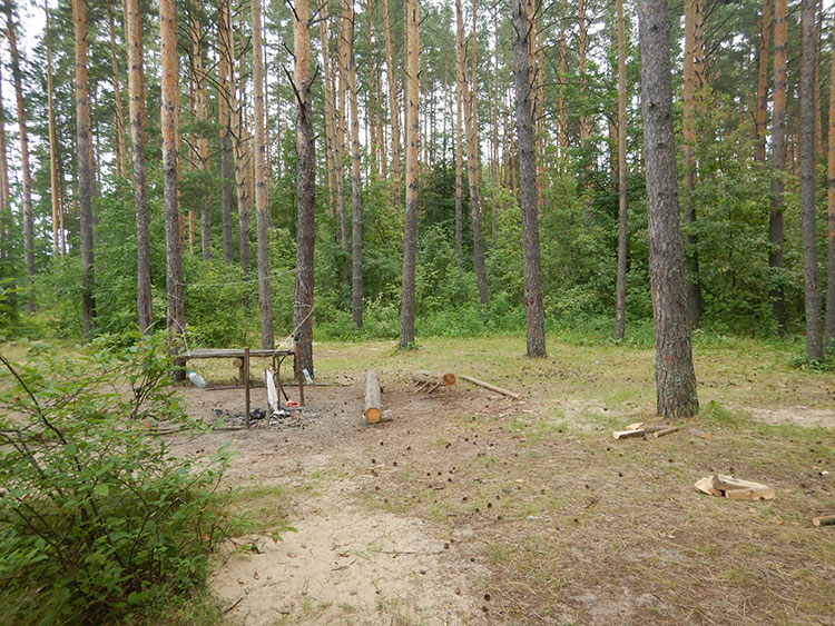 ������� S-15